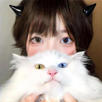 小小圣手定乾坤